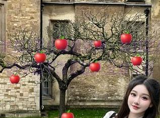 不止是刷刷屏，黑料吃瓜网页的深藏不露更让人又爱又恨