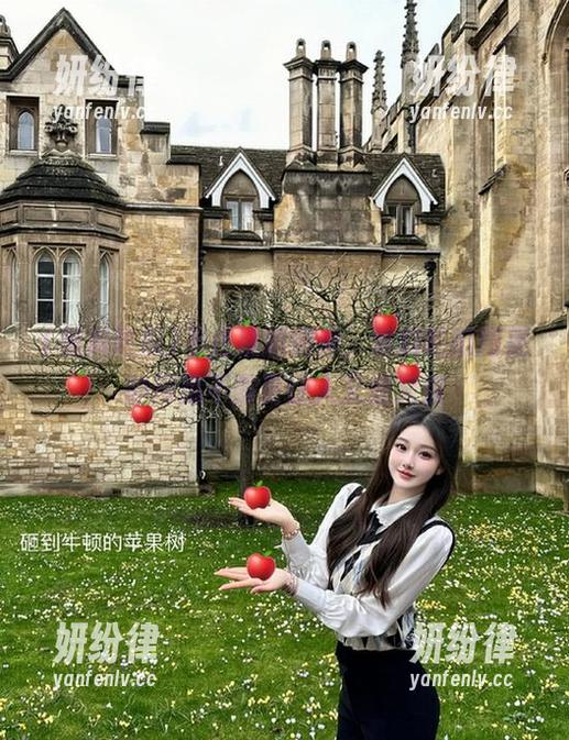 不止是刷刷屏，黑料吃瓜网页的深藏不露更让人又爱又恨