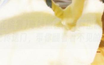 奇妙旅程：黑料正能量的永久历史传送门，带你翻看看不见的老八卦
