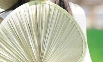 黑网料首页，今天的角色扮演又是“万年八卦粉”吗？